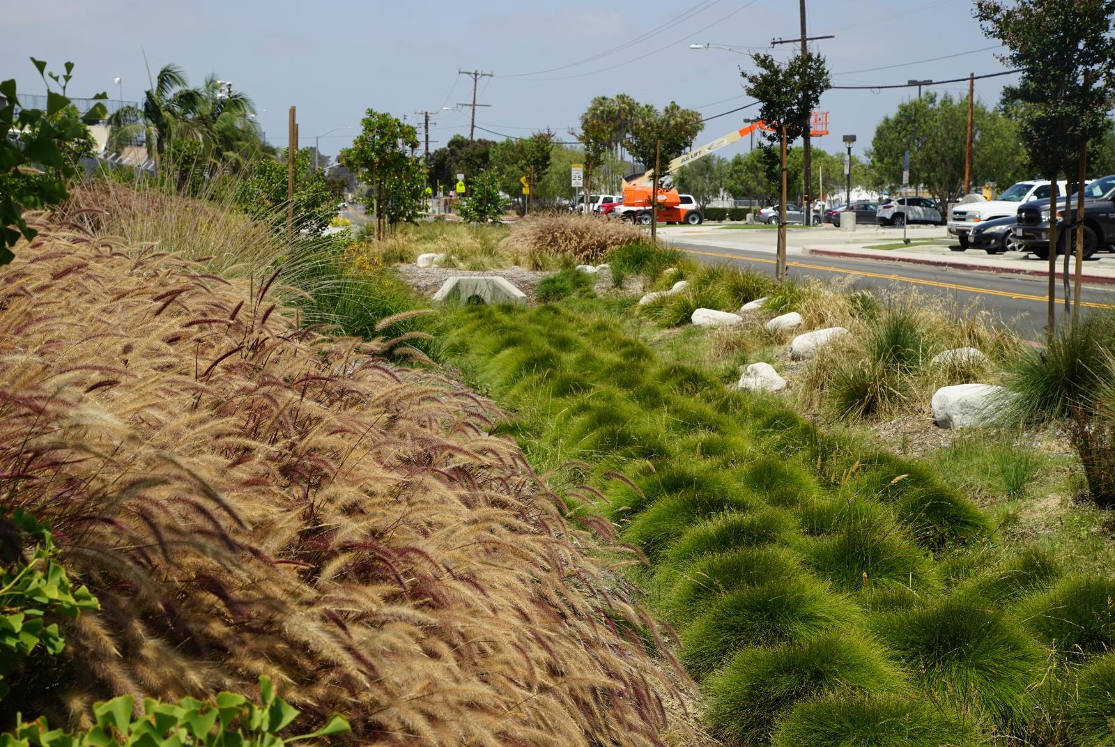 /Files/PROJECT_FILE/c52994f7-59aa-4b3d-ab84-a7d765a9c8f4/Arlington Drive Bioswale and Dry Weather Diversion Project.jpg